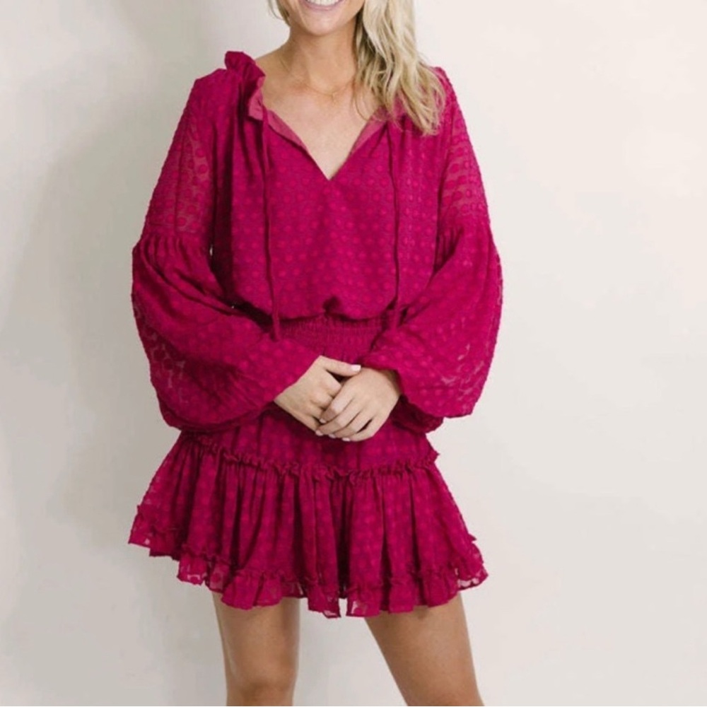 Buddy Love pink Swiss dot Mini Dress